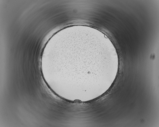 X0000112361188200909241119
