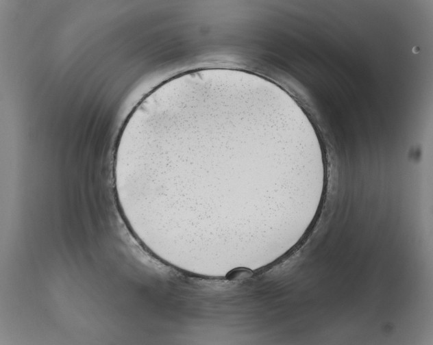 X0000112361192200909241118