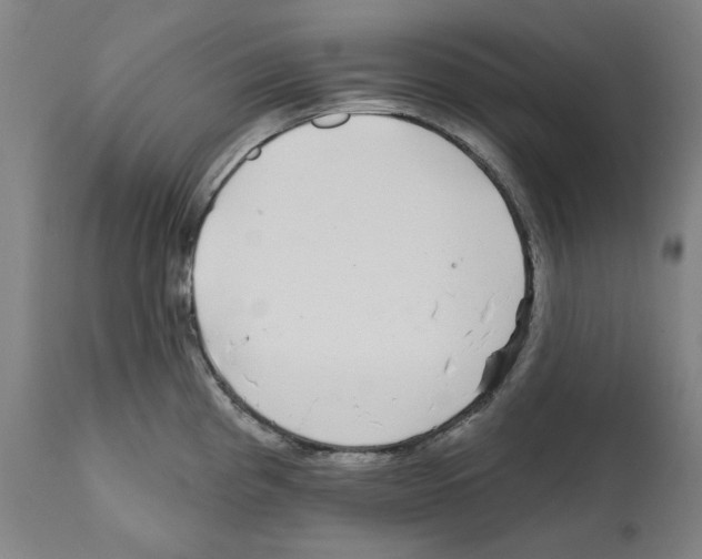 X0000112361193200909241118