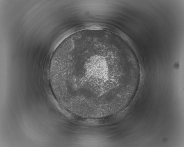 X0000112361194200909241118