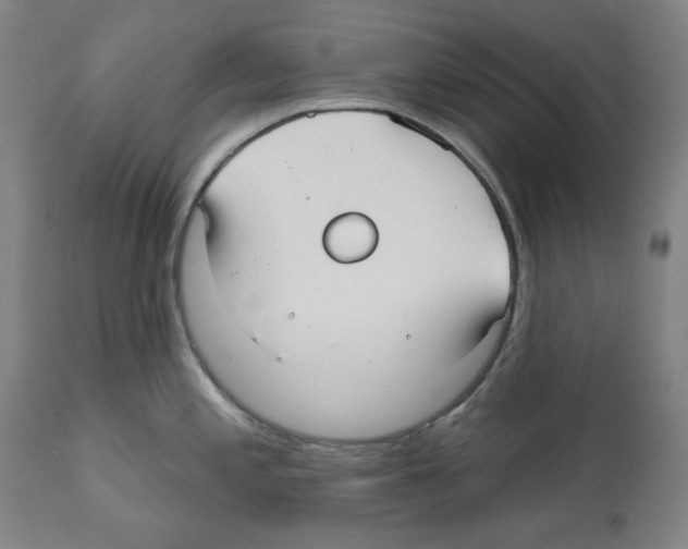 X0000112361197200909241118