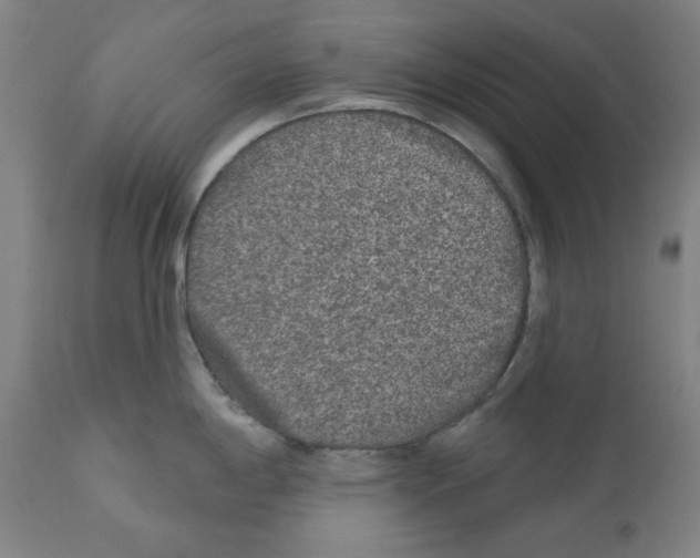 X0000112361198200909241118