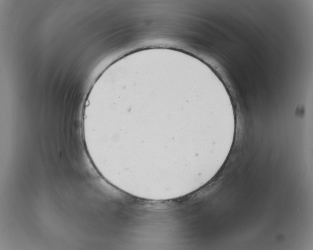 X0000112361199200909241118