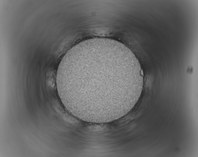 X0000112361202200909241117