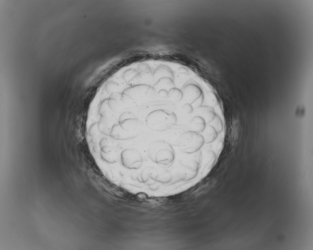 X0000112361205200909241117