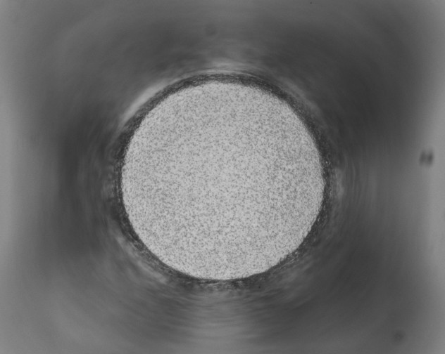 X0000112361208200909241118