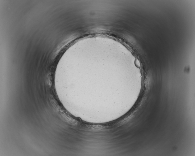 X0000112361209200909241118