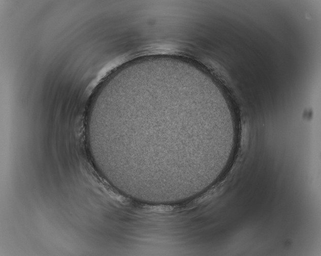 X0000112361210200909241118