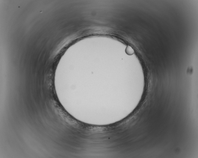 X0000112361211200909241118