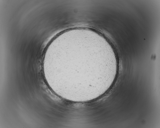 X0000112361212200909241118