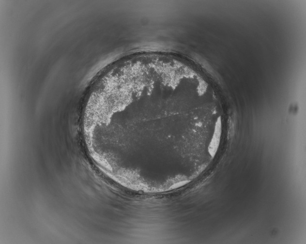 X0000112361213200909241118