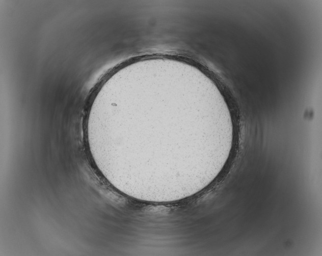 X0000112361214200909241118