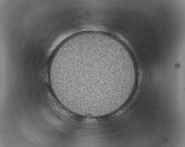 X0000112361215200909241118