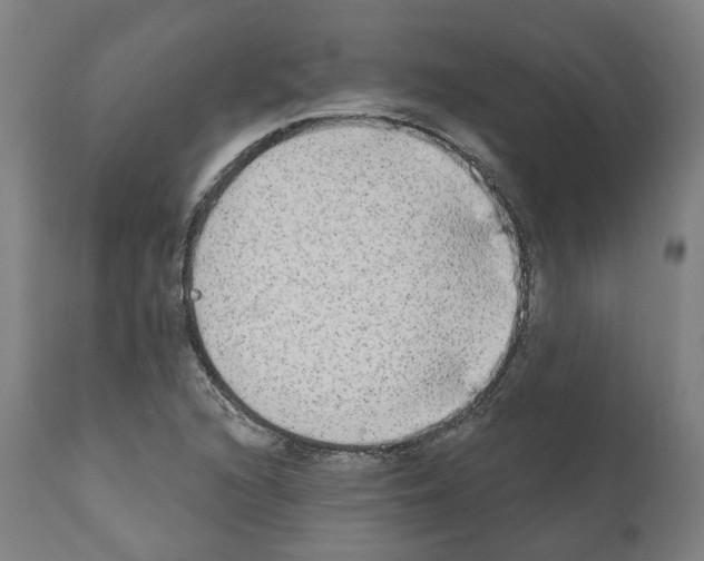 X0000112361216200909241118