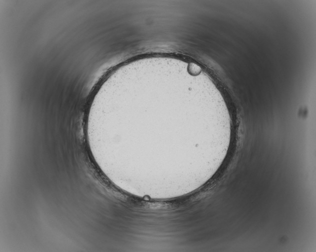 X0000112361218200909241118