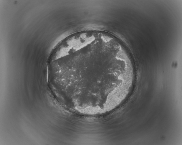 X0000112361219200909241118