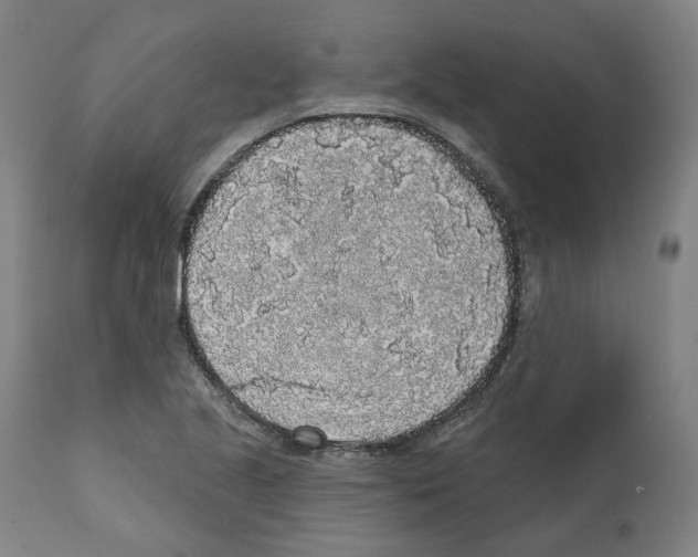 X0000112361221200909241118