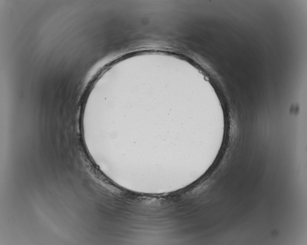 X0000112361222200909241118