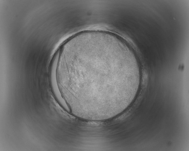 X0000112361224200909241118