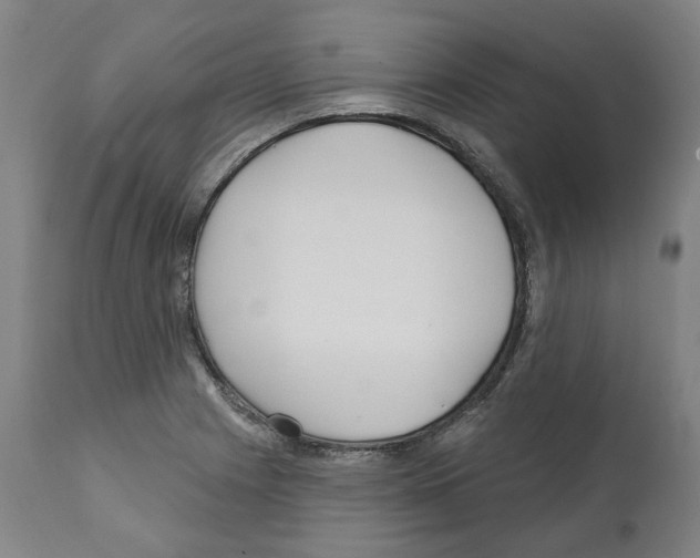 X0000112361225200909241118