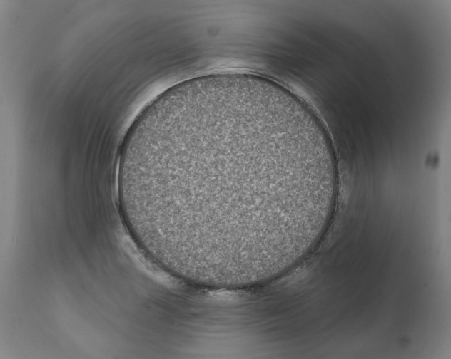 X0000112361227200909241118