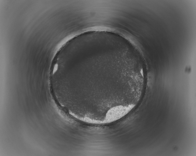 X0000112361229200909241118