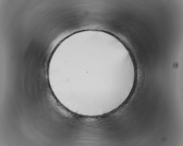 X0000112361230200909241118
