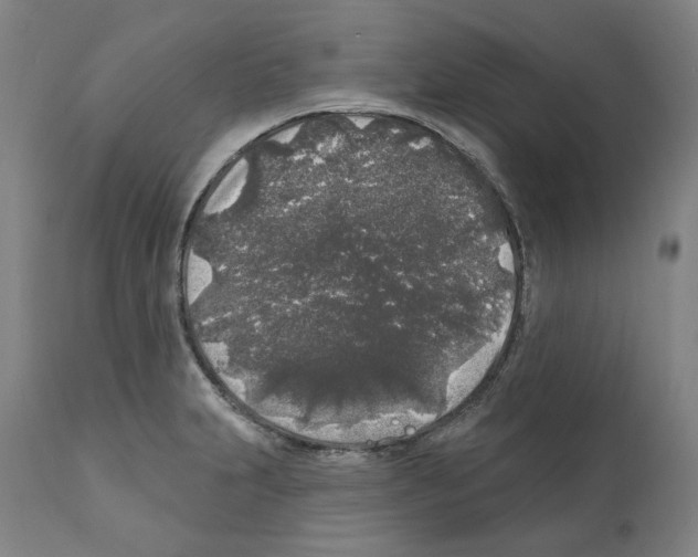 X0000112361231200909241118