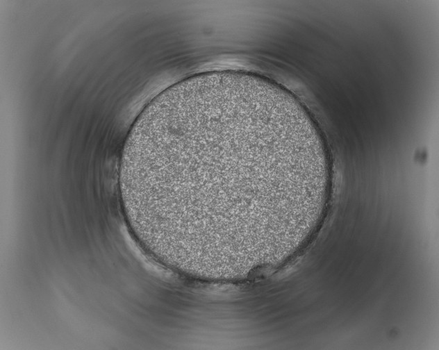 X0000112361233200909241118