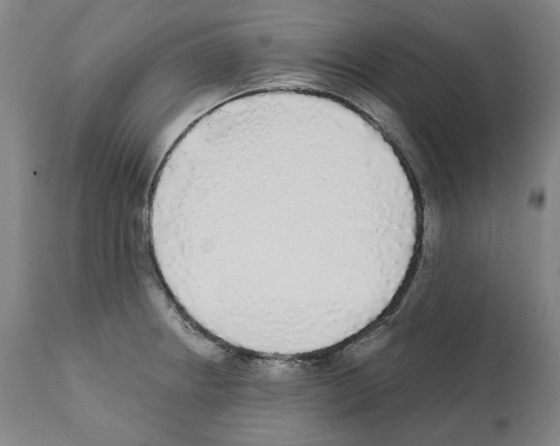 X0000112361234200909241118