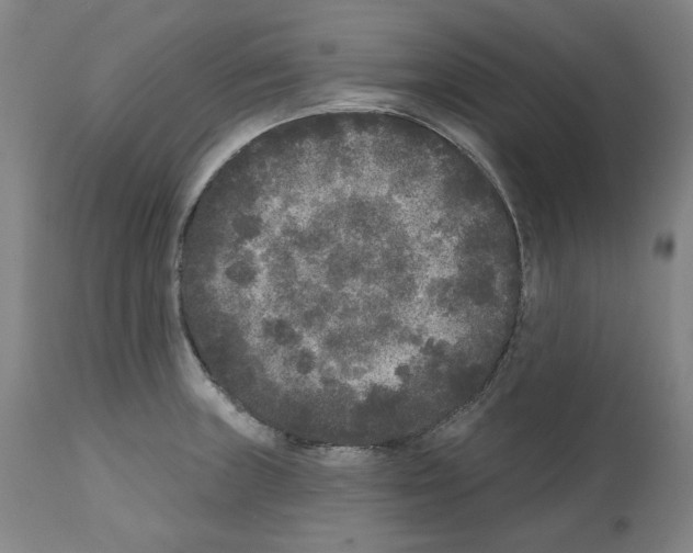 X0000112361235200909241118