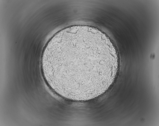 X0000112361237200909241118