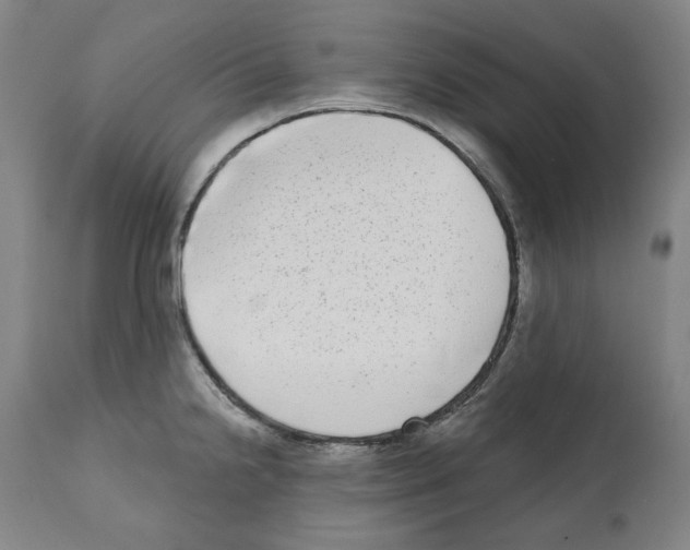 X0000112361238200909241118