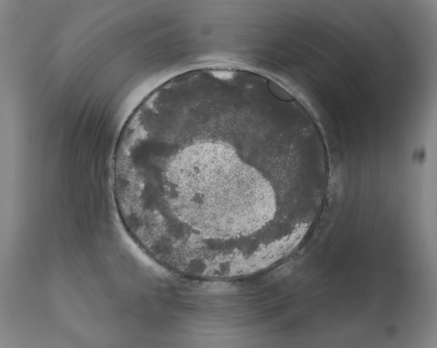 X0000112361239200909241118