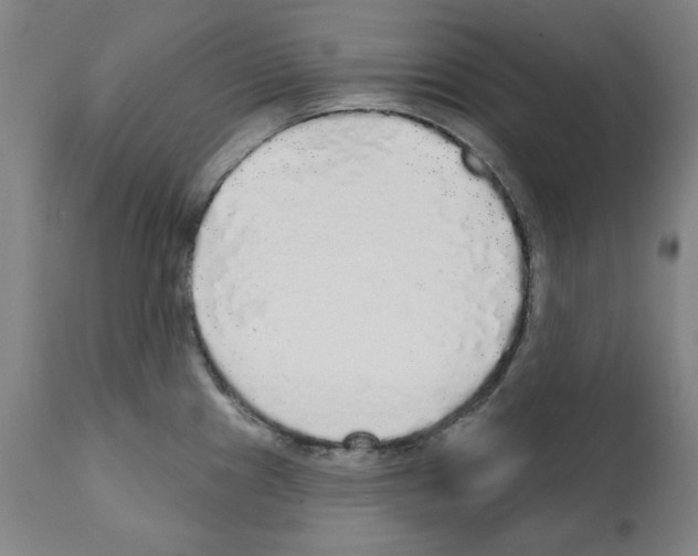 X0000112361241200909241118
