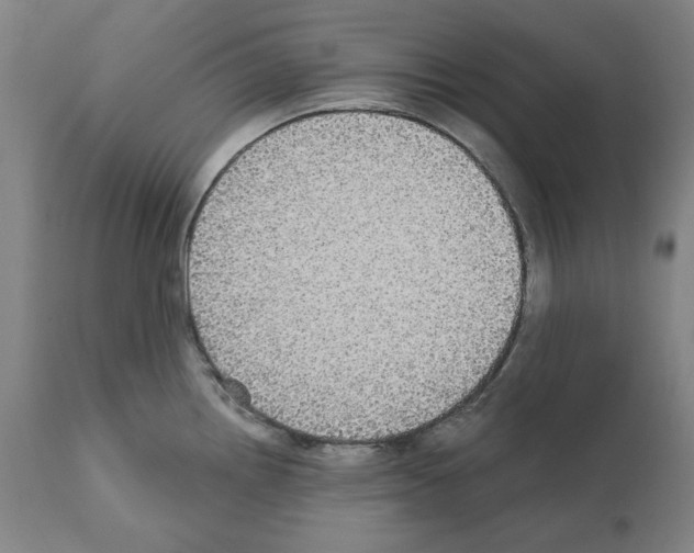 X0000112361242200909241118