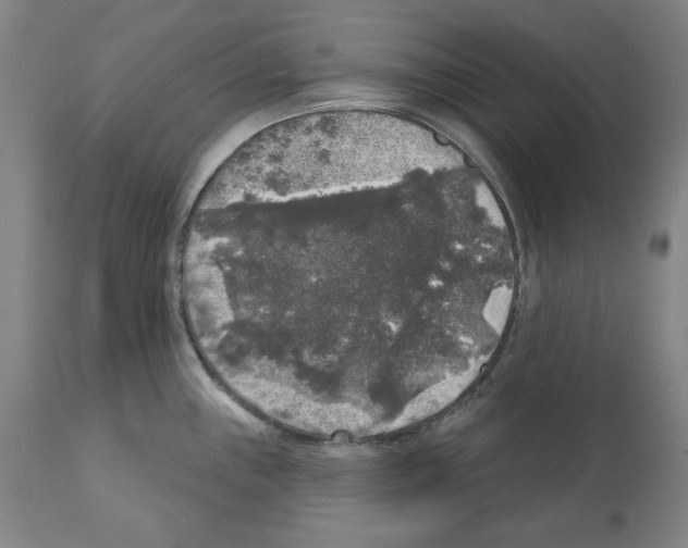 X0000112361243200909241118