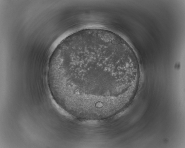 X0000112361245200909241118