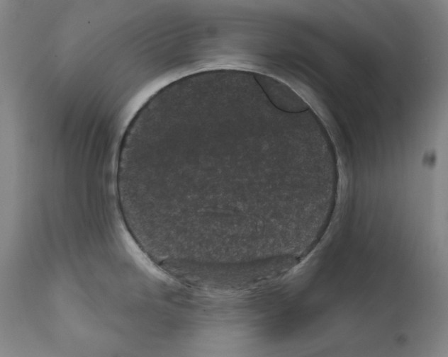 X0000112361246200909241118