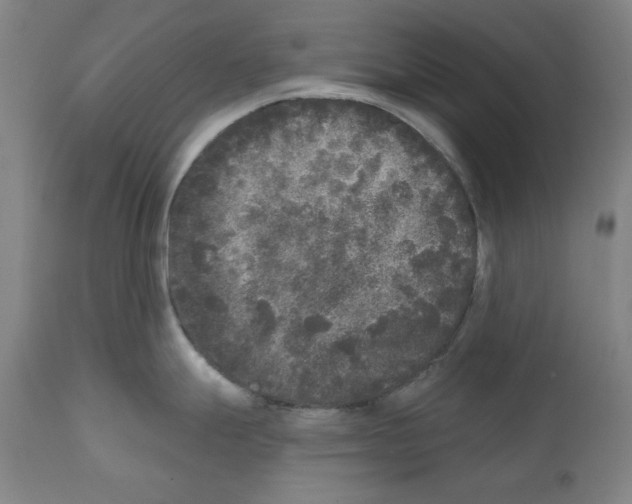 X0000112361247200909241118