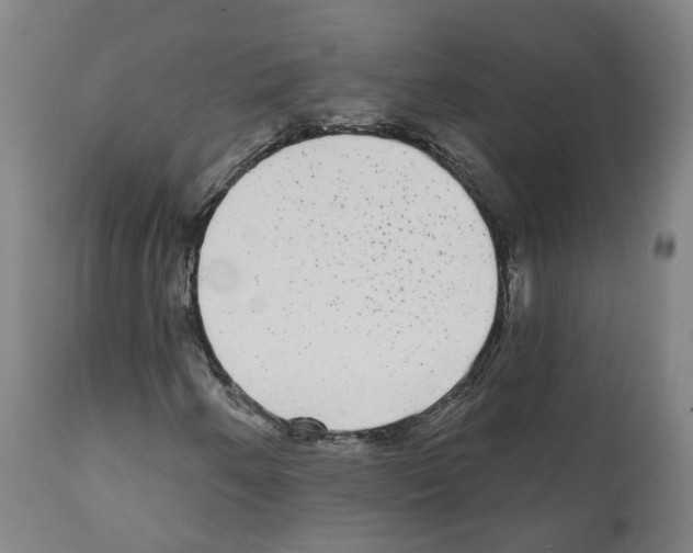 X0000112361250200909241117