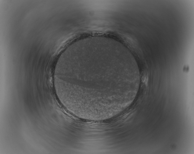 X0000112361252200909241117