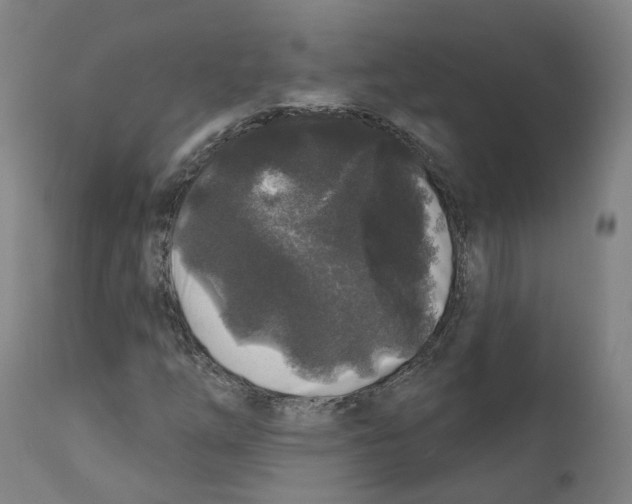 X0000112361254200909241117