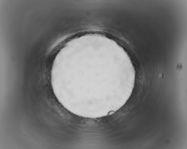 X0000112361255200909241117
