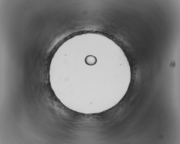 X0000112361256200909241117