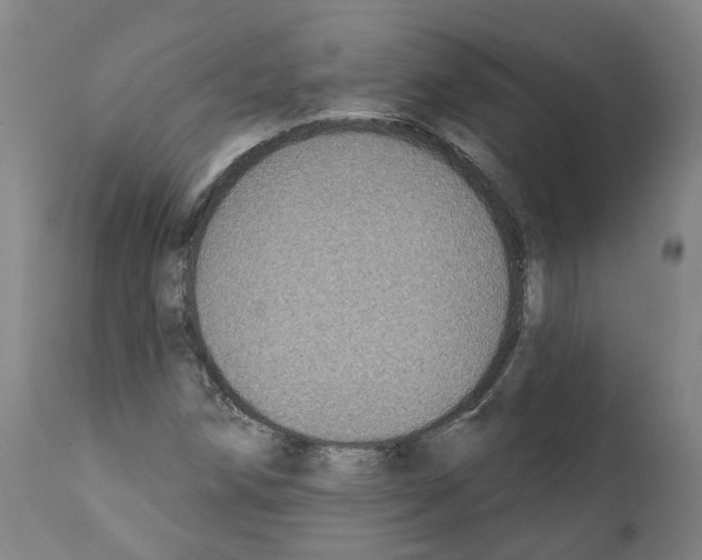 X0000112361258200909241117