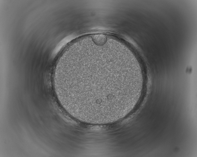 X0000112361259200909241117
