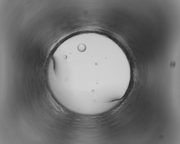 X0000112361260200909241117