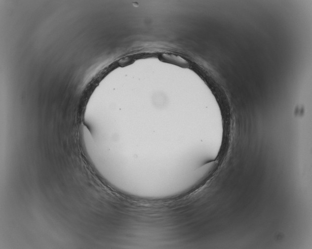 X0000112361261200909241117