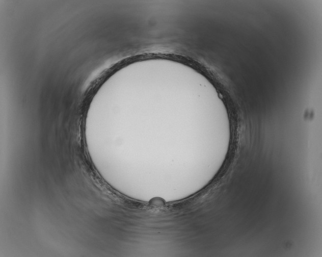 X0000112361262200909241117